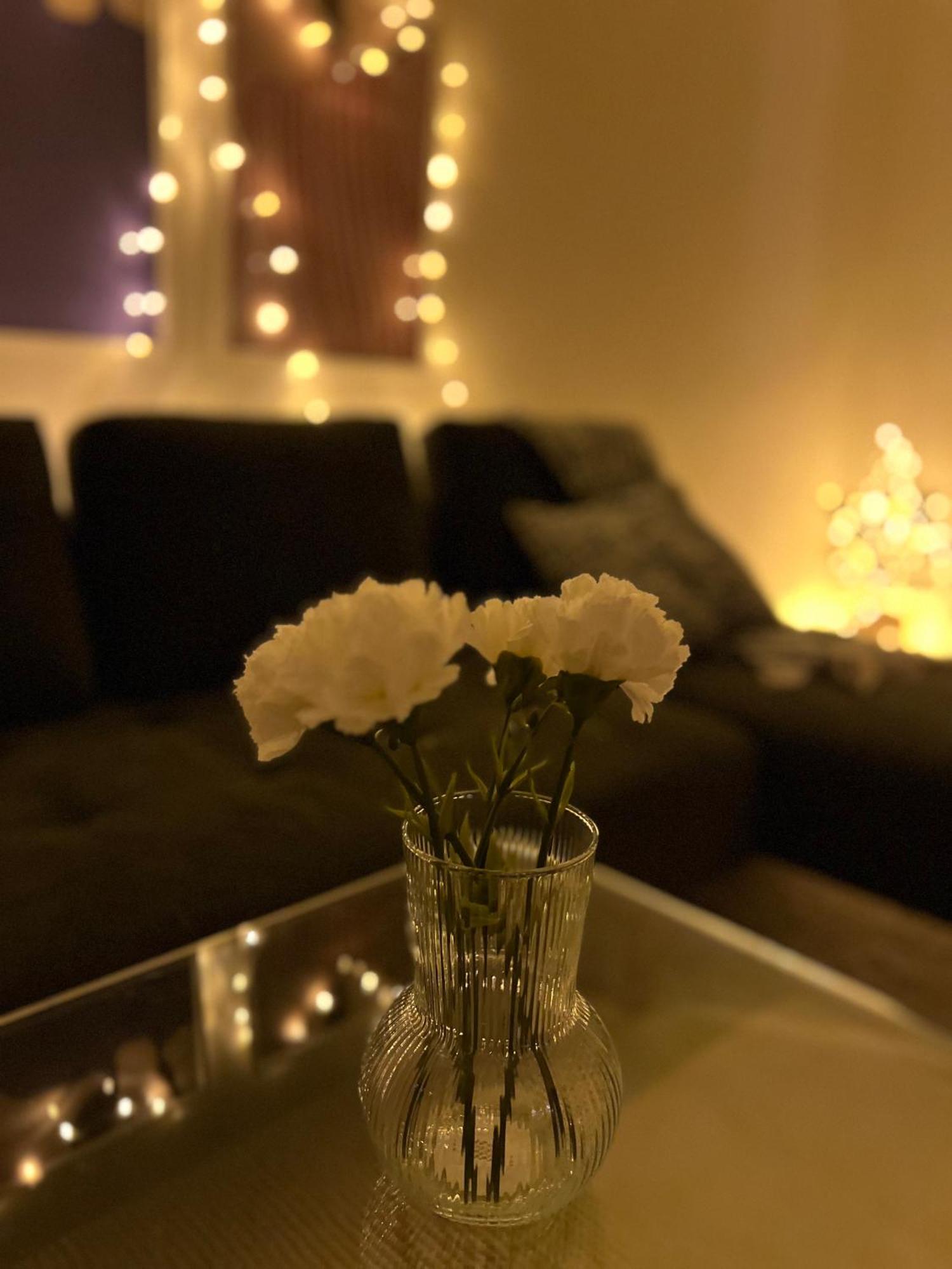 Appartement Premium Cityhome -free Wifi & Parking *